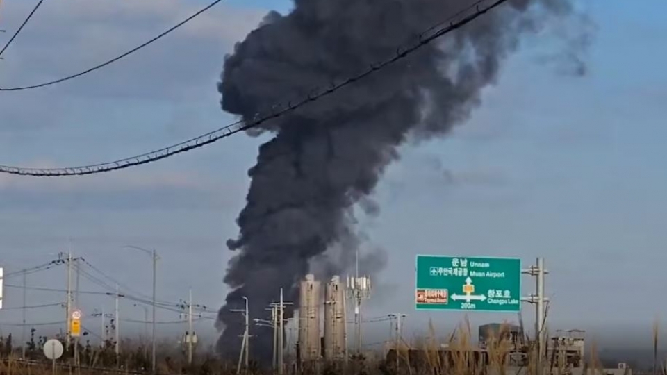 Yonhap: Nguyên nhân tai nạn máy bay ở Hàn Quốc có thể là do va chạm với chim